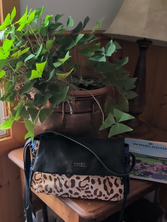 Aimee Kestenberg Handbags - Aimee Kestenberg Black Leather & Leopard Print Crossbody Bag